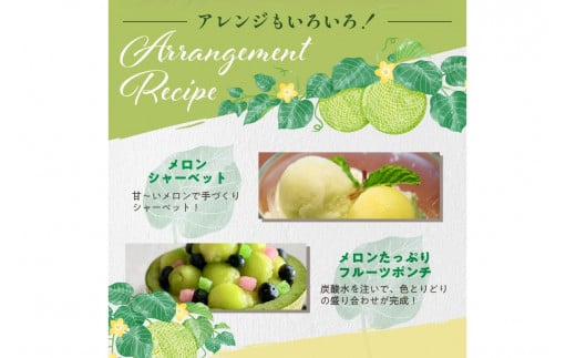 【先行予約／数量限定200】砂姫メロン2玉！大玉2L以上！女性に人気！（2026年6月下旬～発送）　JK00028