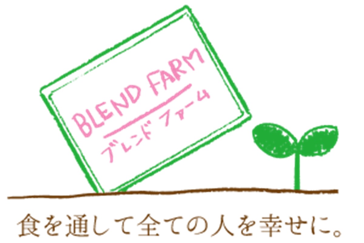 【先行予約】ブレンドファームのぶどういろいろおまかせセット（2026年8月下旬～発送） 果物 フルーツ マスカット 詰合せ セット 1.2kg 先行予約 ふるさと納税 ぶどう　BF00017