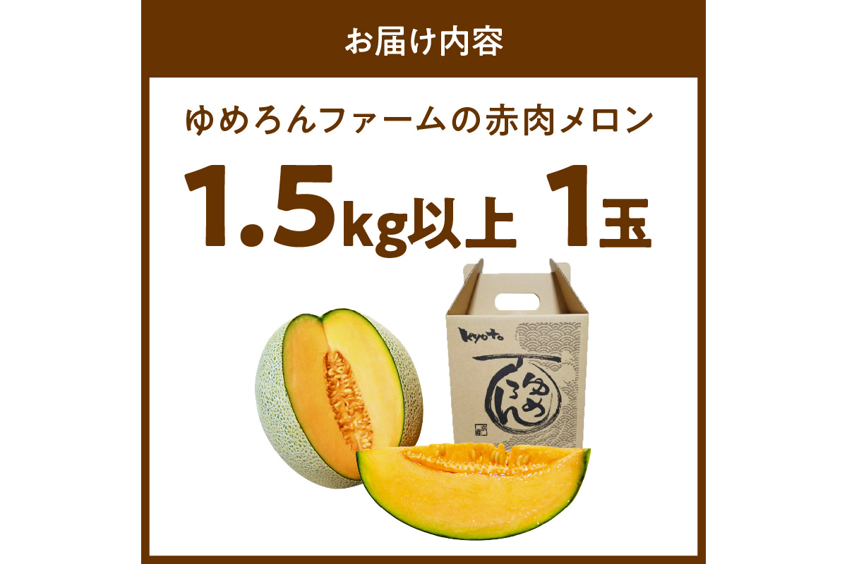 【先行予約／数量限定100】ゆめろんファームの赤肉メロン（2026年6月上旬～発送）　DE00154