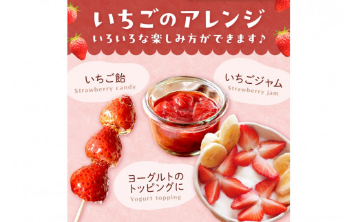 【先行予約／数量限定300】京都・まつみやファームのいちご（あきひめイチゴ）2パック（2026年3月中旬～発送）　DE00137