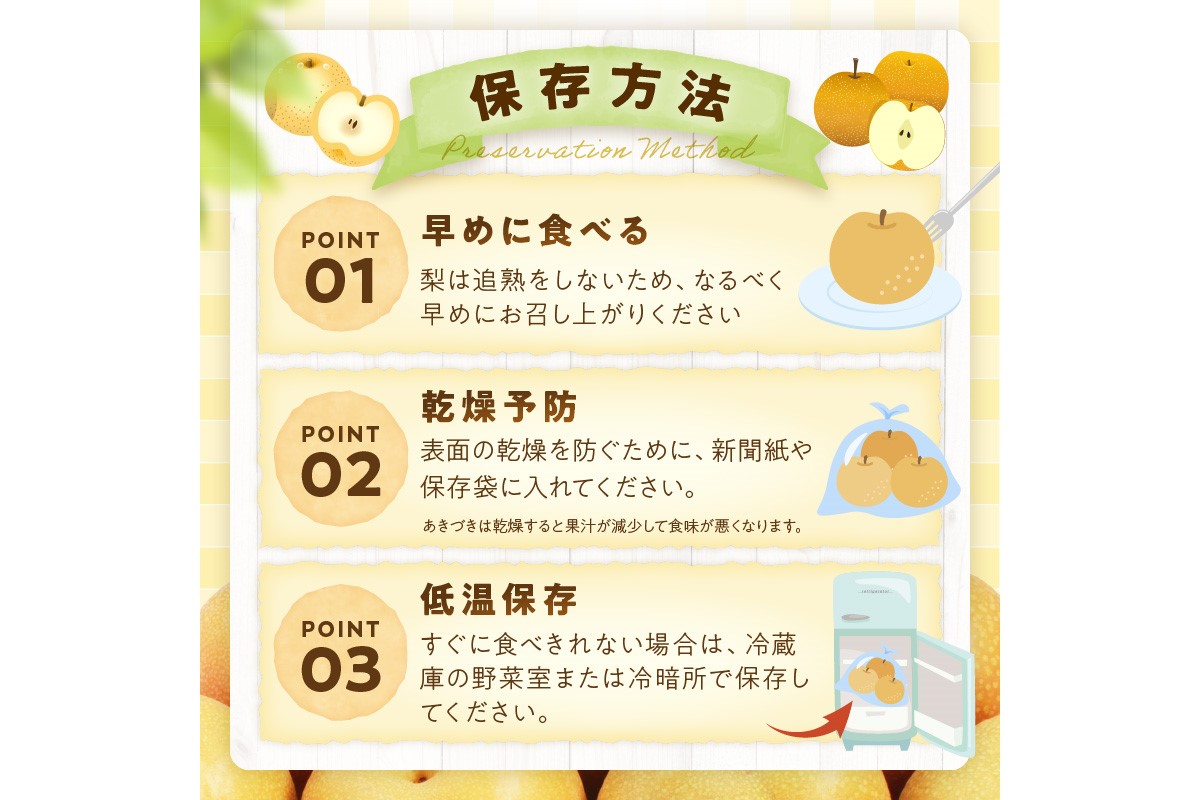 【先行予約／数量限定300】京丹後産 あきづき梨 5kg（8～12玉）（2026年9月中旬～発送）　DE00161