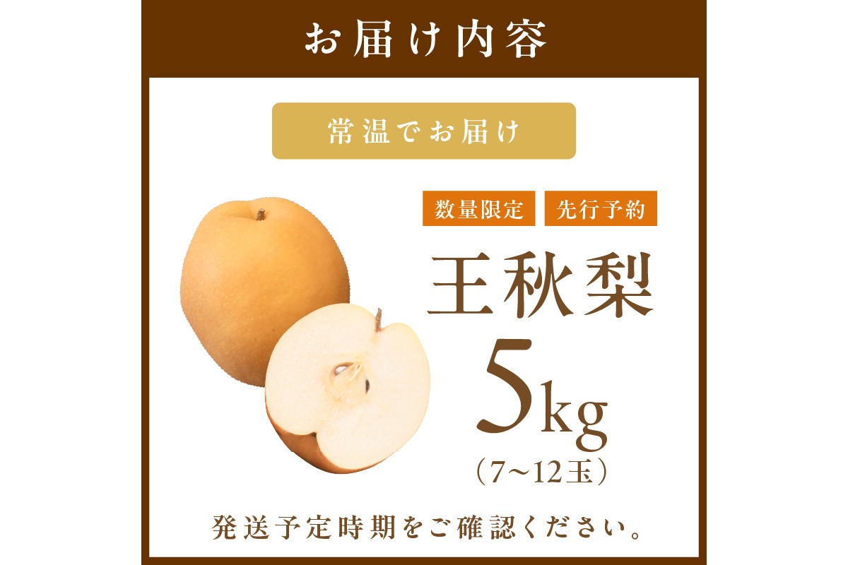 【先行予約／数量限定200】農家直送 秋の王様 「王秋」5kg（概ね7玉～12玉）（2026年11月上旬～発送）　DE00169