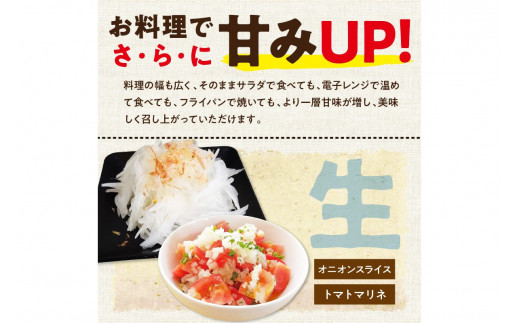 【先行予約】京都 丹後産 甘い有機玉ねぎ 10キロ【有機JAS取得】（2026年6月上旬～発送）　DE00140