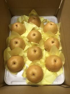 【先行予約／数量限定100】【訳あり】新興梨 優品 5kg（8～16玉入り）（2026年10月上旬～発送）　SF00043