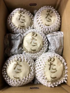 【先行予約／数量限定20】愛宕梨 秀品 5kg（5～12玉入り）（2025年11月下旬～発送）　SF00024