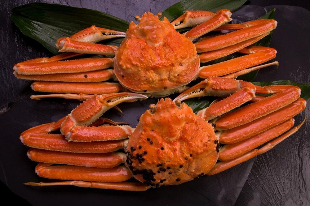 【訳あり！！タグ付きブランド】　茹で松葉かに　鮮度抜群、浜茹でにてお届け！！ 800g級（足1本落ち）×2杯　YK00434