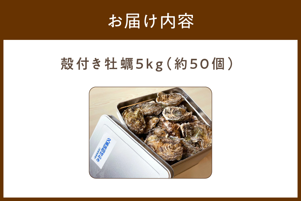 京都・京丹後産牡蠣5kg（約50個）　AH00019
