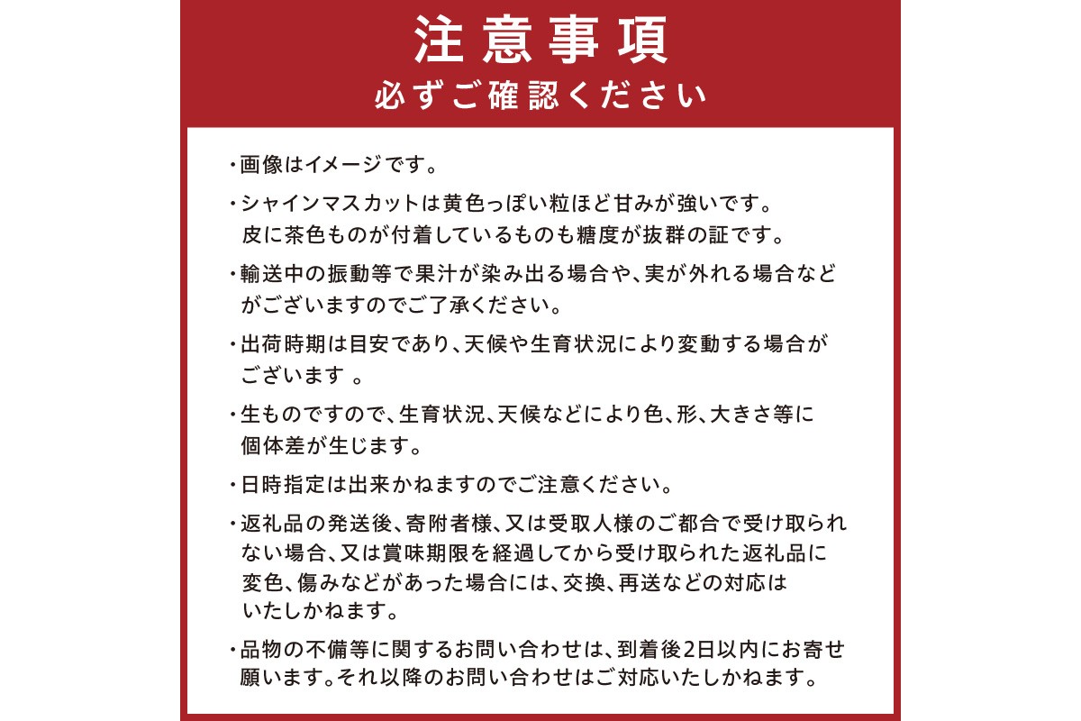 【先行予約／数量限定100】訳ありシャインマスカット 1.2kg以上（2～3房入り）（2026年9月上旬～発送）　FK00022