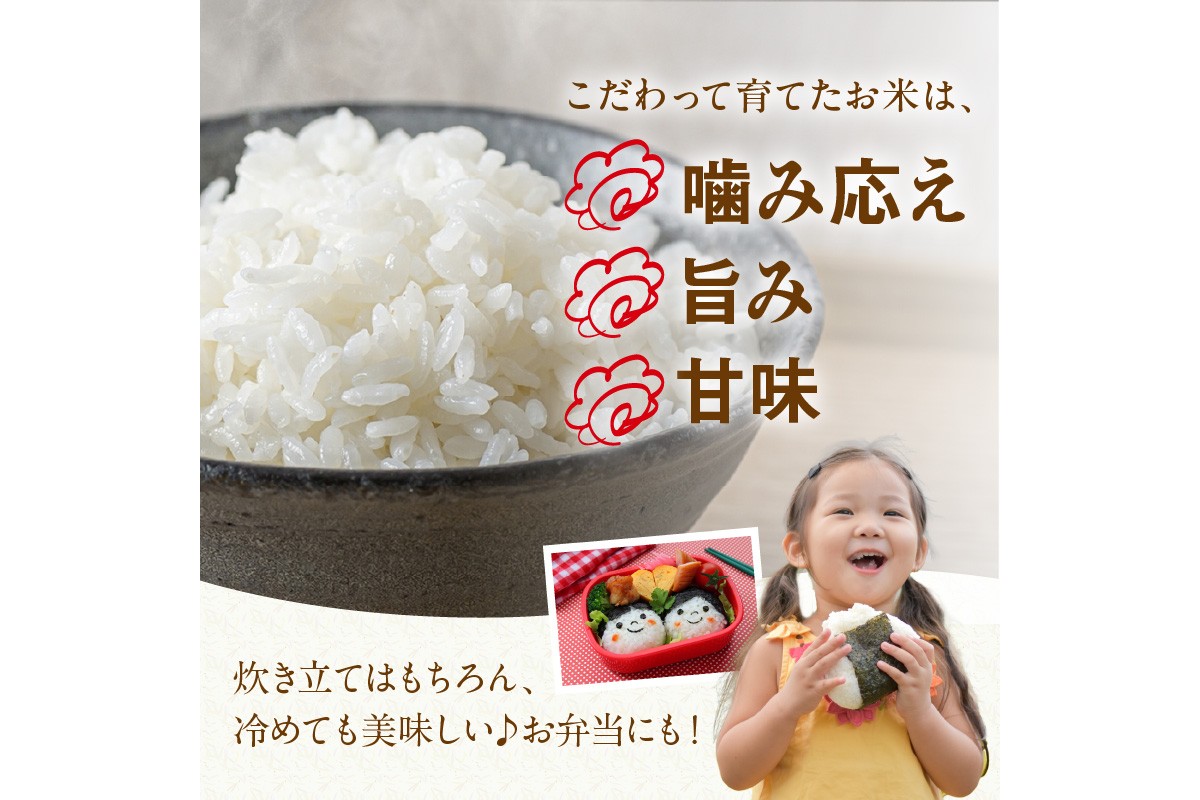京丹後米～水と文化が育んだ～こしひかり・夢ごこち食べ比べセット 2kg（各1kg×2袋）　FP00010