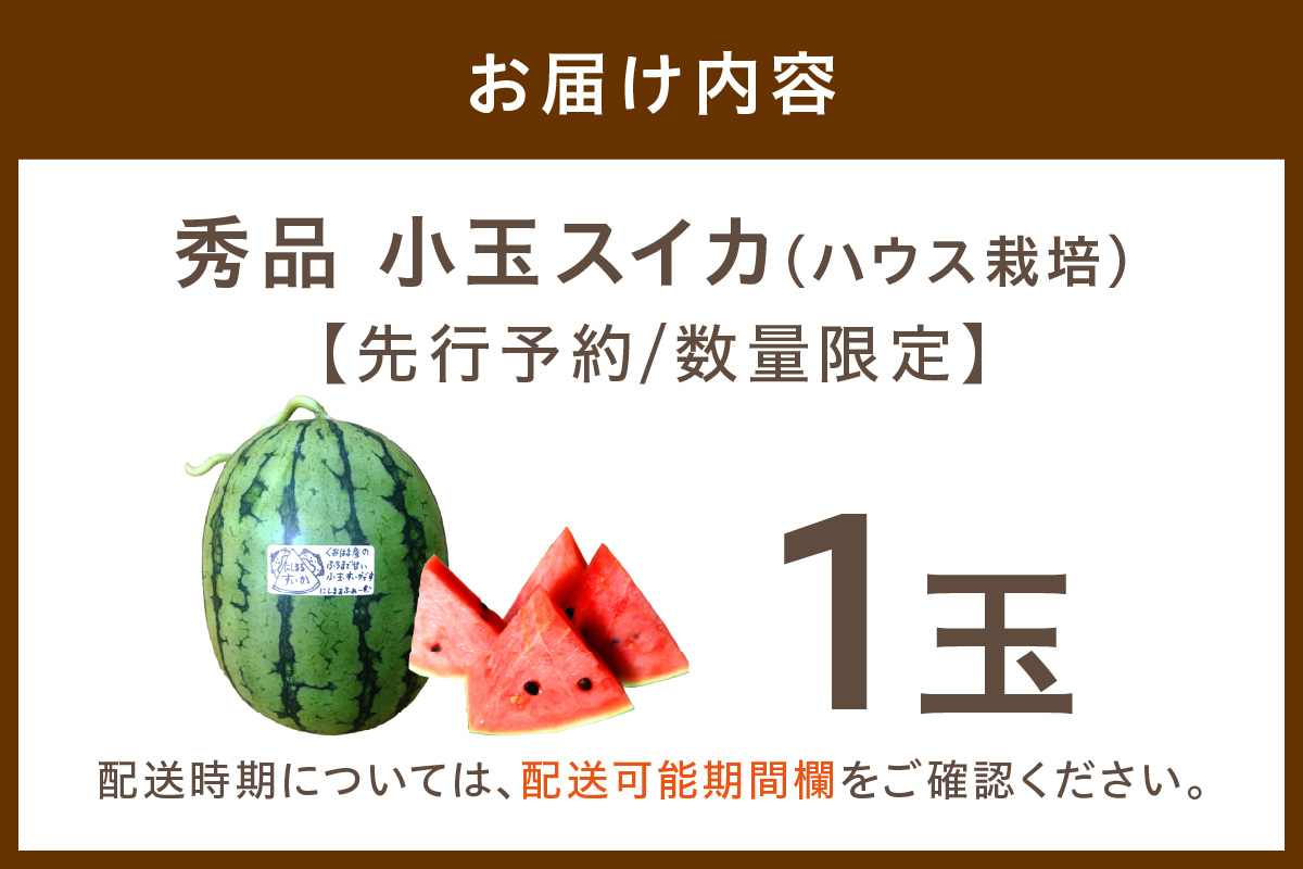 【先行予約／数量限定100】にしまるスイカ 秀品 1玉入り（ハウス栽培）（2026年6月中旬から発送）　FR00008