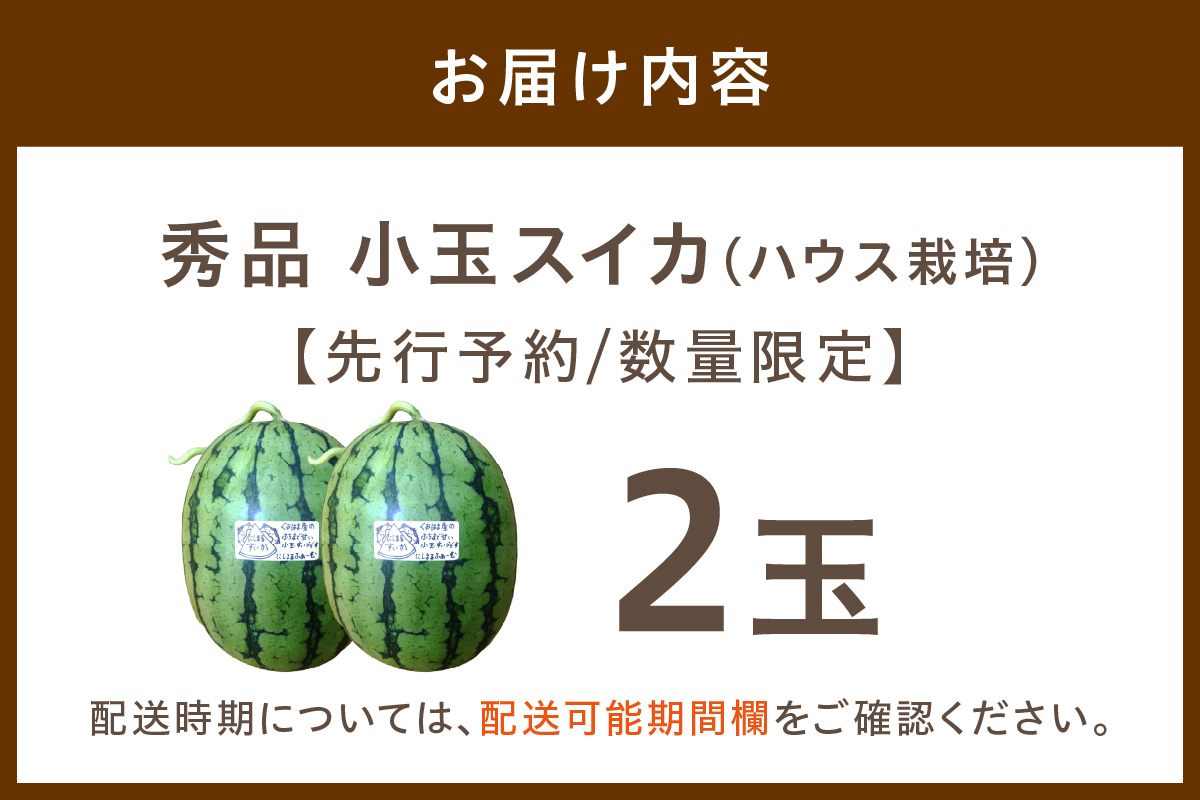 【先行予約／数量限定100】にしまるスイカ 秀品 2玉入り（ハウス栽培）（2026年6月中旬から発送）　FR00009