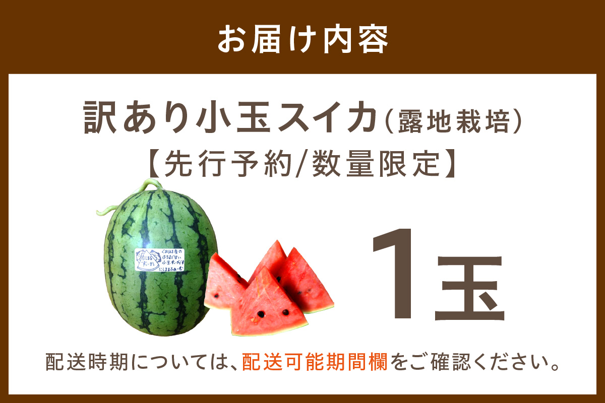 【先行予約／数量限定200】にしまるスイカ 訳あり 1玉入り（露地栽培）（2026年7月中旬から発送）　FR00014