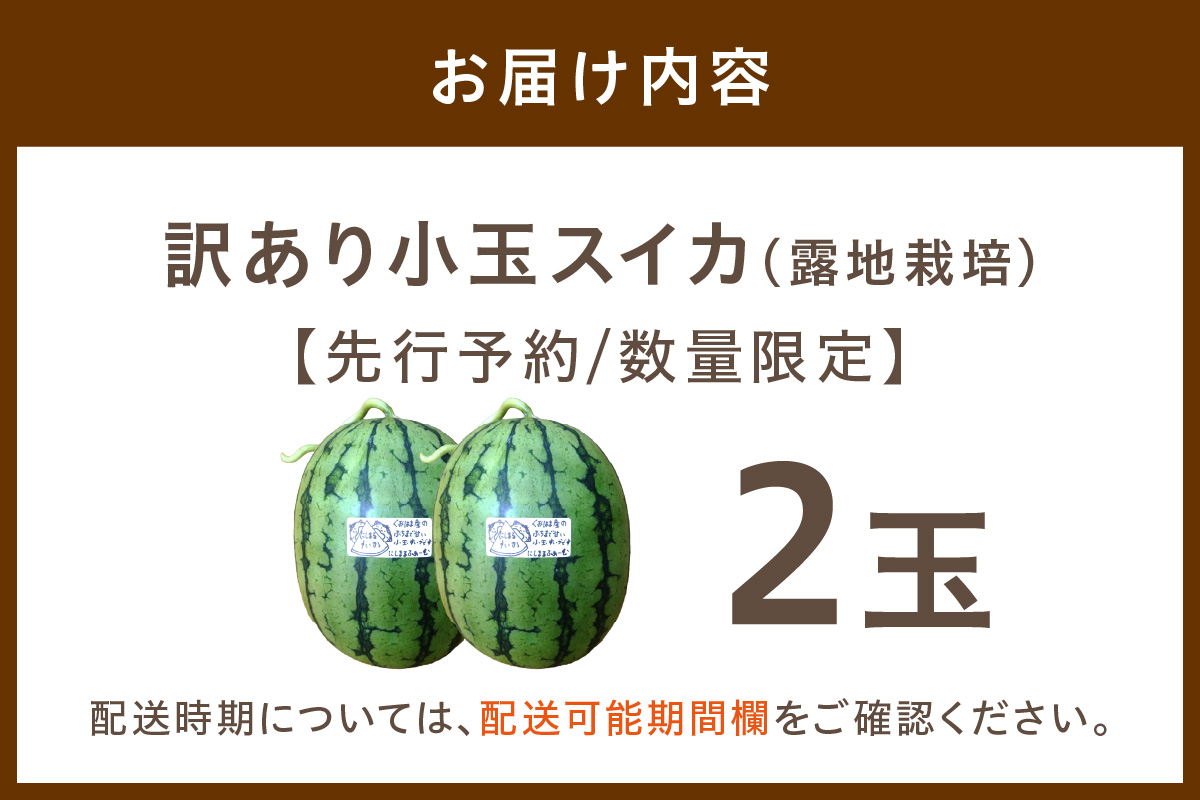 【先行予約／数量限定200】にしまるスイカ 訳あり 2玉入り（露地栽培）（2026年7月中旬から発送）　FR00015