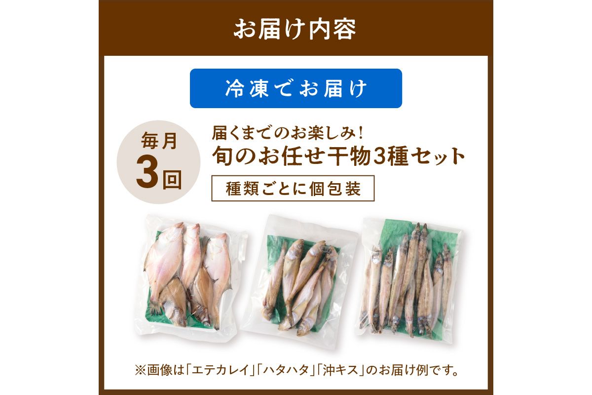 <定期便・3ヶ月>京丹後の地元魚屋が作ったお任せ干物セット（冷凍）　FS00027