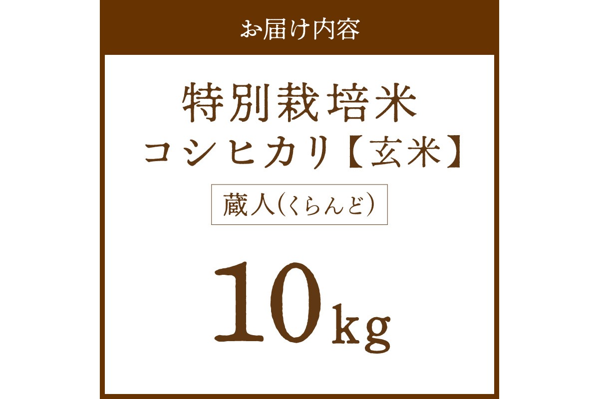 令和8年産 特別栽培米コシヒカリ 蔵人（くらんど） 玄米10kg　GF00020