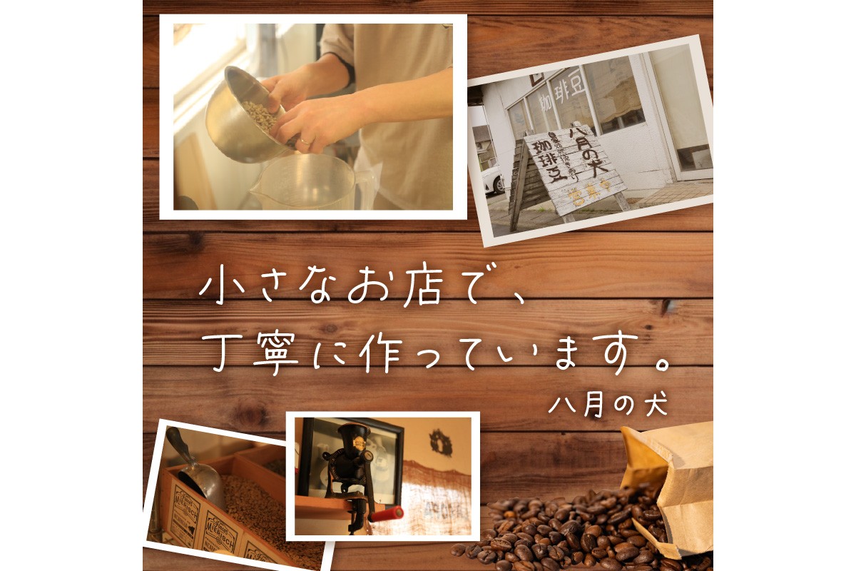 【栽培期間中農薬不使用】自家焙煎コーヒー豆 お試しセット（200gx3種）八月の犬 珈琲豆 ドリップ 飲み比べ ブホペ 飲料 珈琲 こーひー コーヒー coffee　HA00021