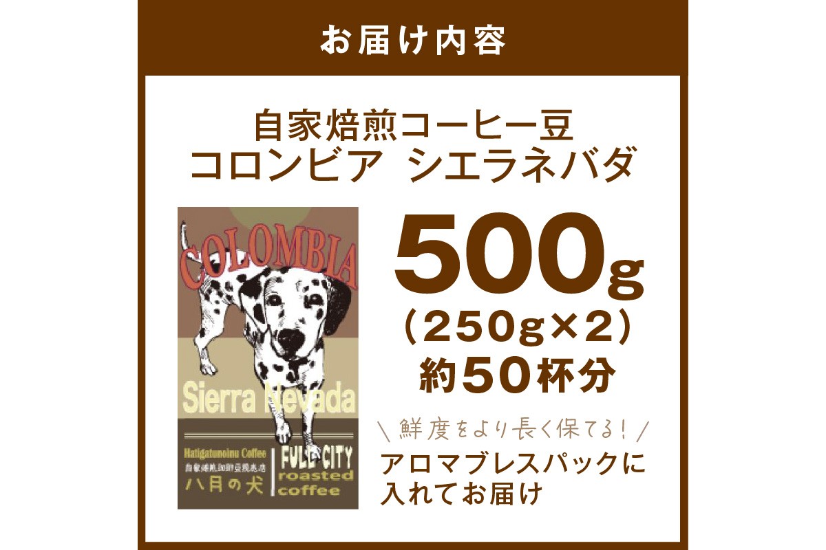 【栽培期間中農薬不使用】自家焙煎コーヒー豆 コロンビア シエラネバダ 500g（250g×2） 約50杯分 小分け　豆・粉 選べる 飲料 珈琲 こーひー コーヒー coffee　HA00026