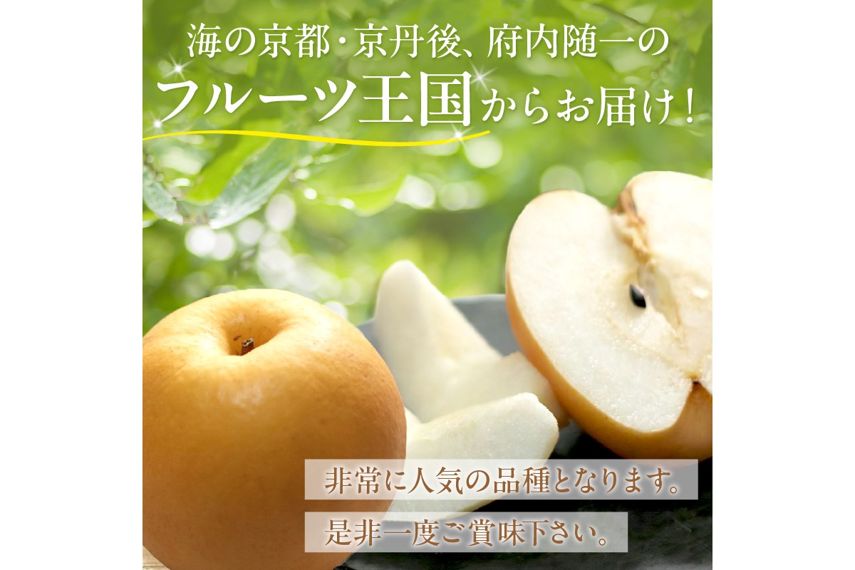 【先行予約／数量限定150】京丹後産 新興梨 5kg（8～14玉入り）（2026年10月中旬～発送）　JA00080
