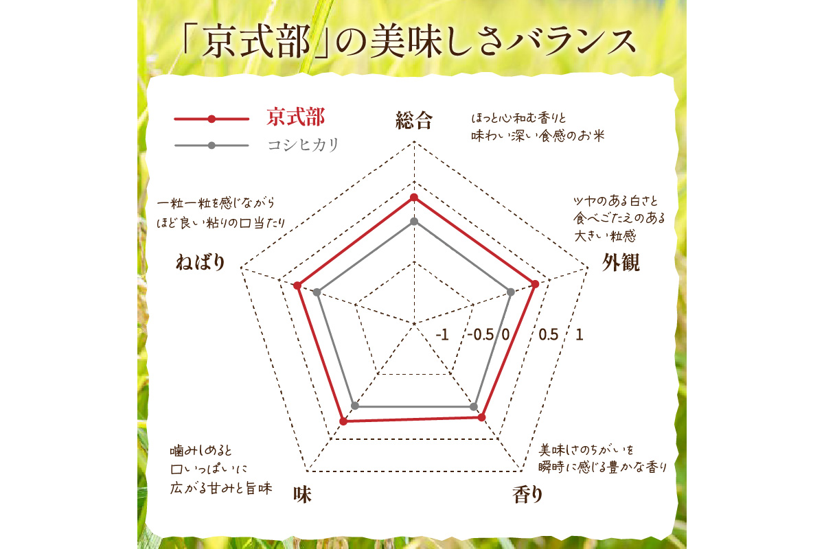 直売所直送「令和5年産　京丹後市産　京式部　特別栽培米」　精米2kg×2袋　JA00056