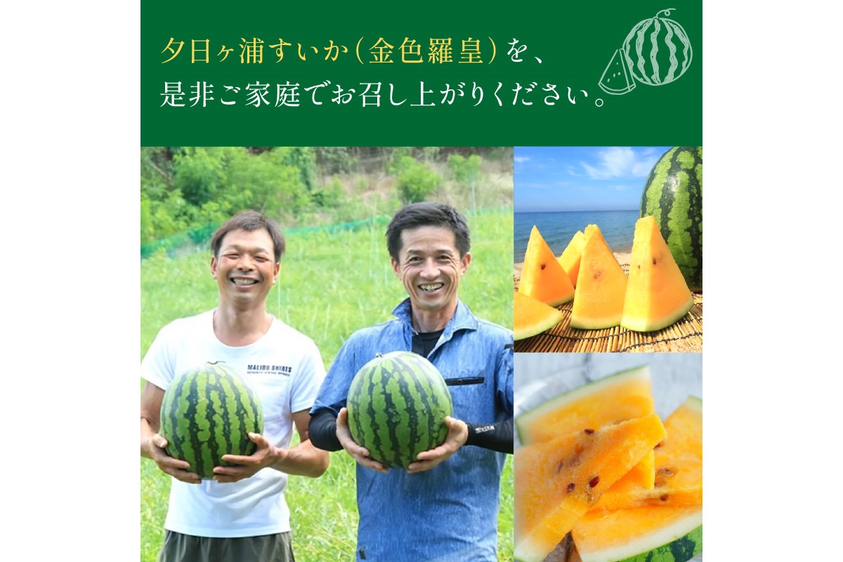 【先行予約／数量限定50】夕日ヶ浦すいか（金色羅皇） 1玉（2026年7月中旬～発送）　果物 くだもの スイカ 西瓜  ふるさと納税 スイカ ふるさと納税 先行予約 フルーツ ふるーつ 甘い 京都 丹後 高級　JK00042