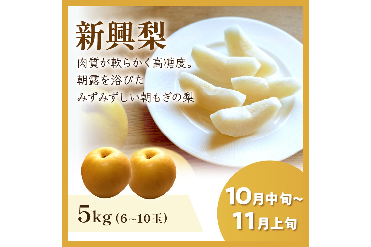 JA京都がおすすめする京丹後フルーツ定期便～琴引コース～（2026年6月中旬～発送）  京のブランド産品 メロン めろん 梨 なし ナシ スイカ 西瓜 すいか 国産 砂丘 甘い 高糖度 高級 期間限定 ふるさと納税 フルーツ 先行予約 お取り寄せ 農協　JK00040