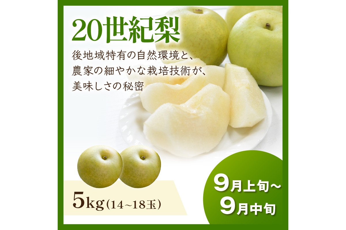 JA京都がおすすめする京丹後フルーツ定期便～砂姫コース～（2026年6月中旬～発送） 京のブランド産品 メロン めろん 梨 なし ナシ スイカ 西瓜 すいか 国産 砂丘 甘い 高糖度 高級 期間限定 ふるさと納税 フルーツ 先行予約 お取り寄せ 農協　JK00041