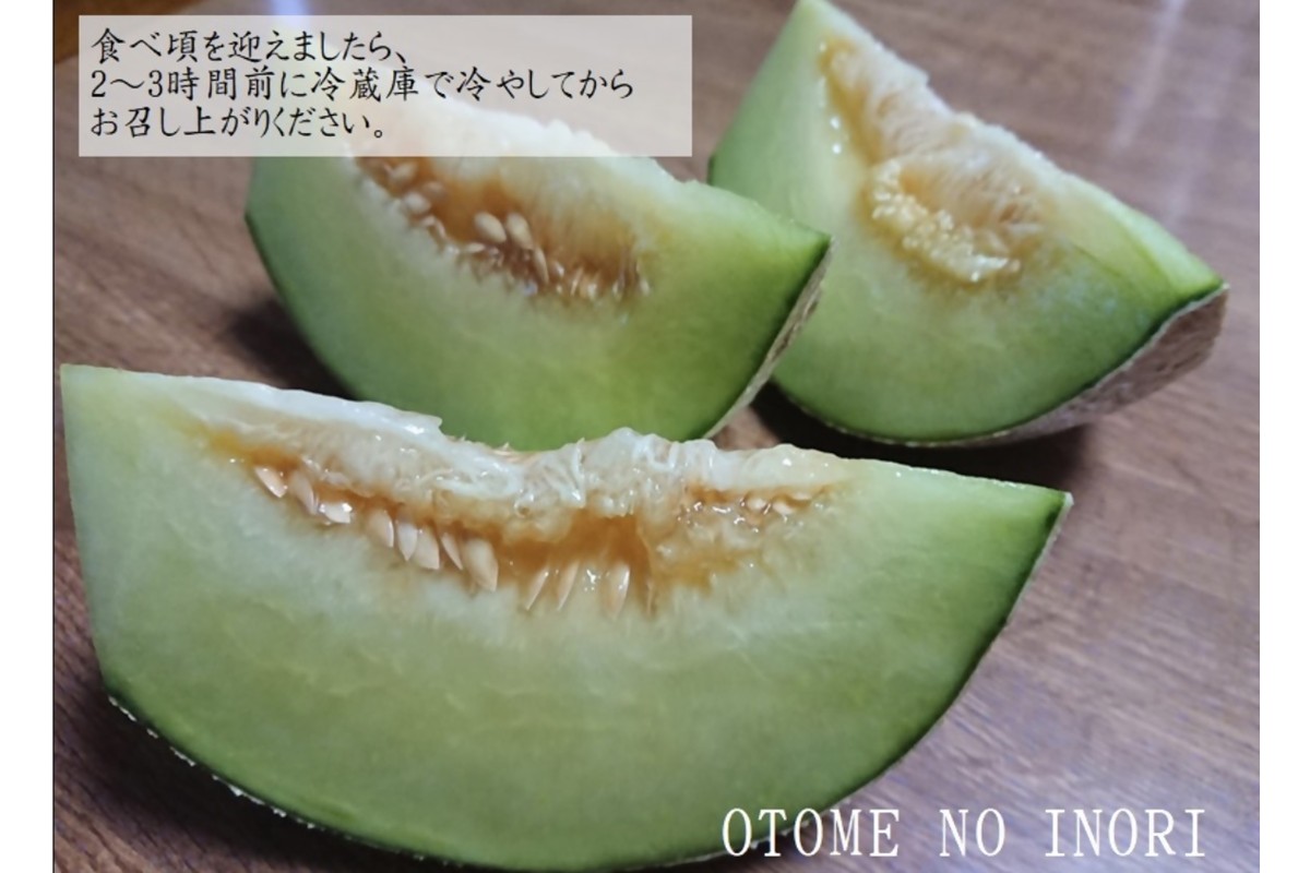 【先行予約】京都丹後久美浜産　砂丘メロン【オトメの祈り】　2Lサイズ／2玉入（2026年中旬～発送） LP00004