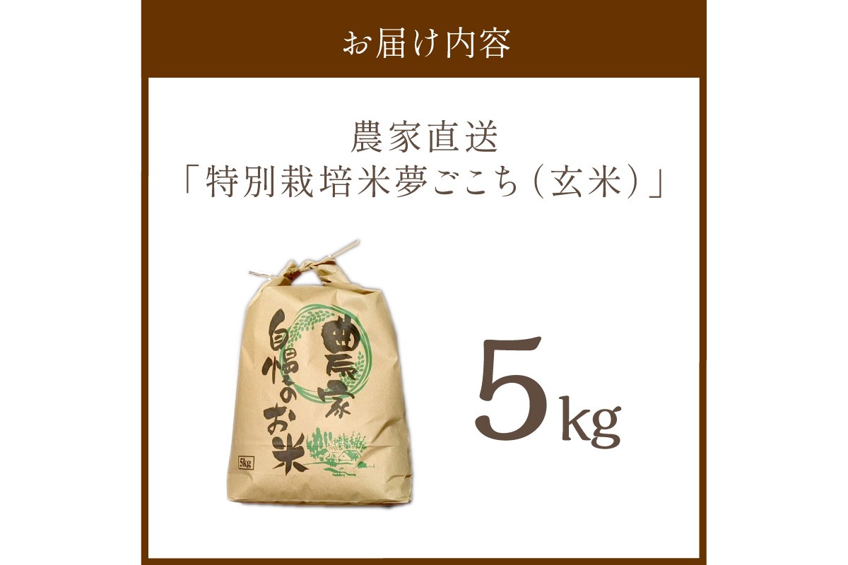 2025年産 京都・京丹後峰山 特別栽培米夢ごこち 5kg 【玄米】　MF00063