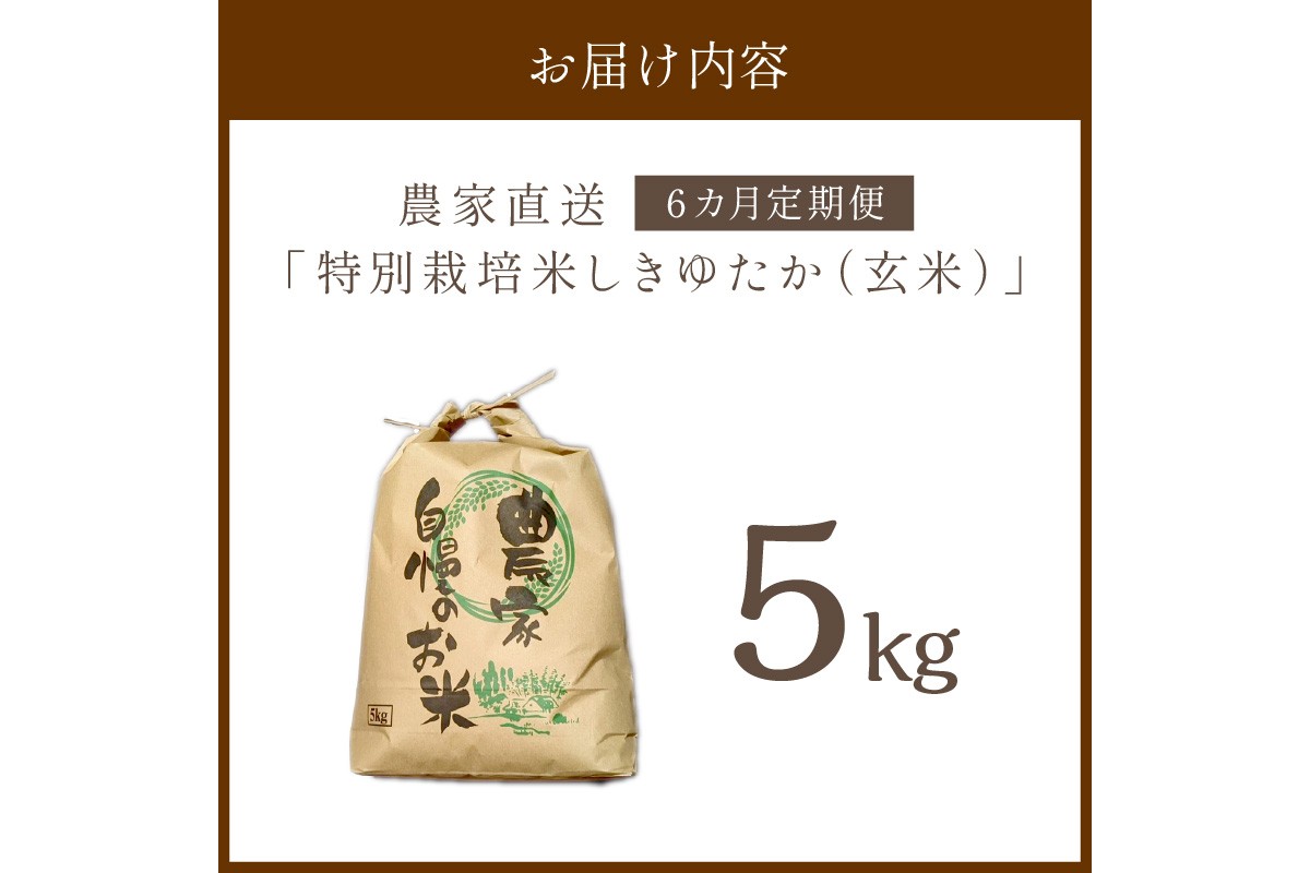 【6ヶ月定期便】2026年産 京都・京丹後峰山 特別栽培米しきゆたか 5kg 【玄米】米 定期便 玄米 しきゆたか　MF00066