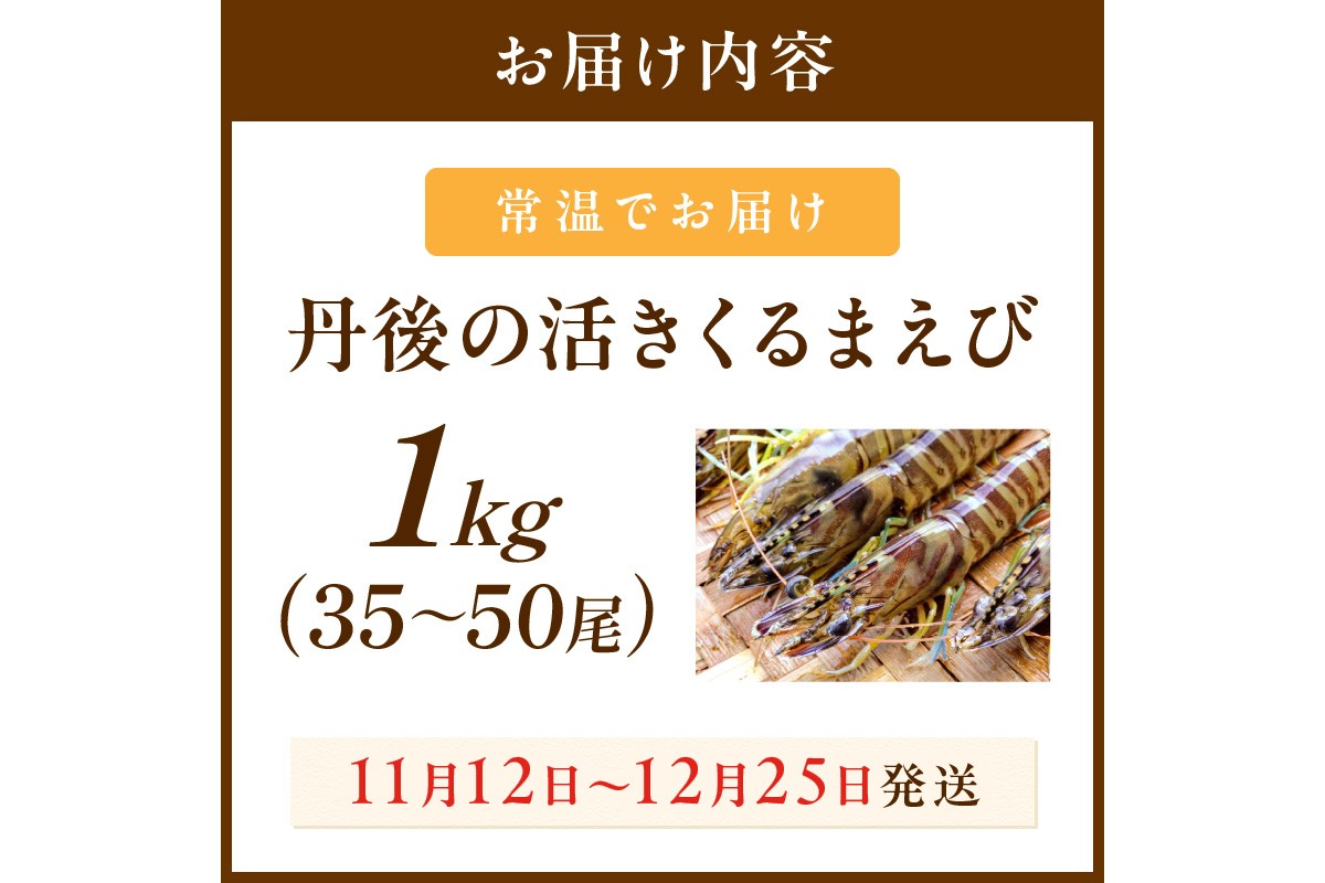 丹後の活きくるまえび 1kg（35～50尾）　MN00063