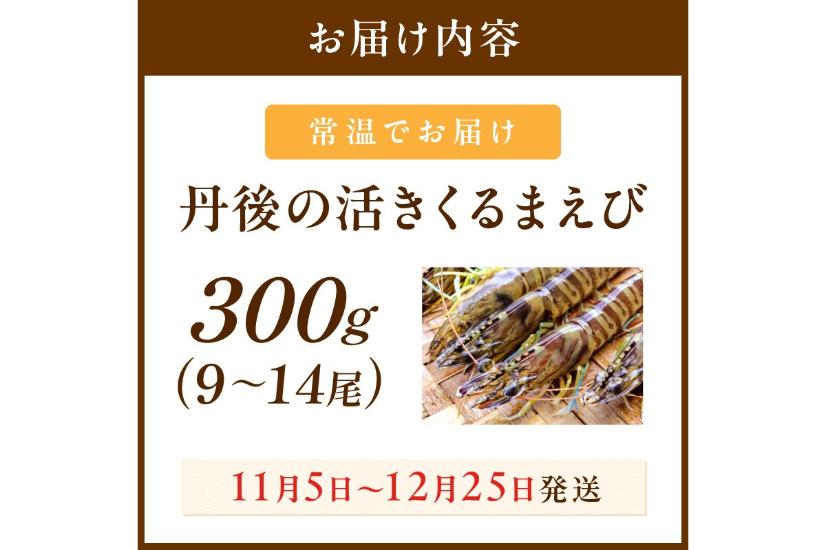 丹後の活きくるまえび 300g（9～14尾）　MN00058