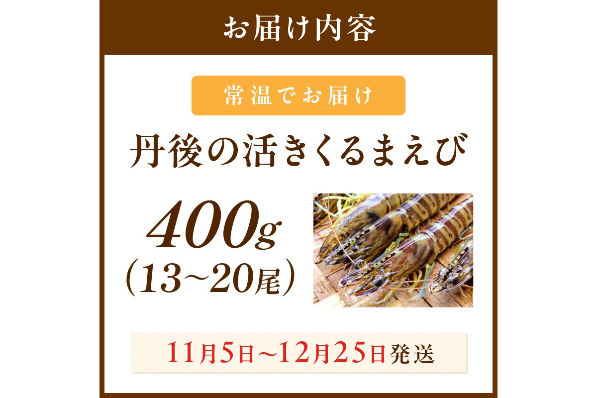丹後の活きくるまえび 400g（13～20尾）　MN00059