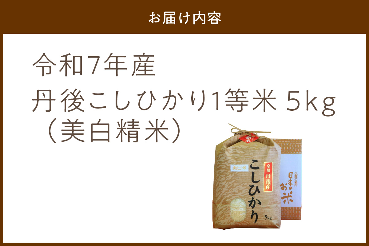 令和7年産 美白精米 丹後こしひかり 5kg 1等米　MU00057