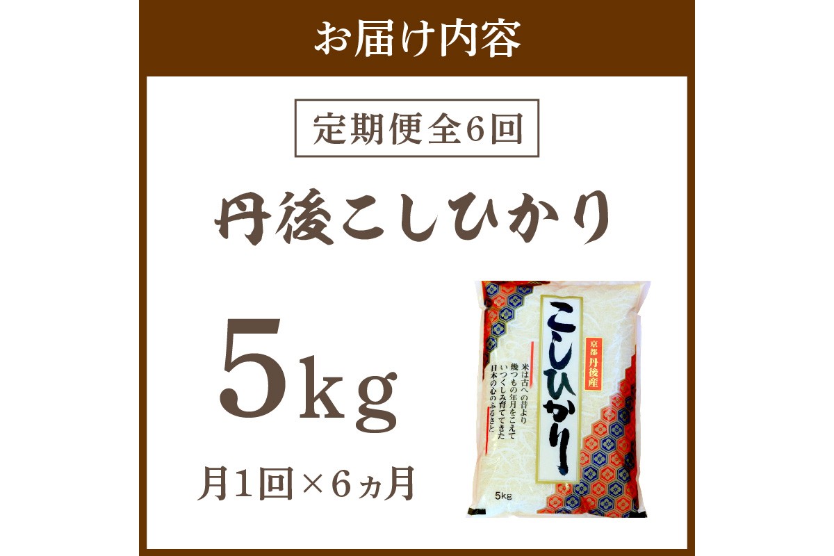 【定期便6回】令和7年産  丹後こしひかり 5kg×6ヵ月 1等米　お米 コメ こめ 丹後 コシヒカリ 精米 ふるさと 納税 コシヒカリ 精米 ふるさと 納税 こしひかり 精米 ふるさと 納税 米　MU00061