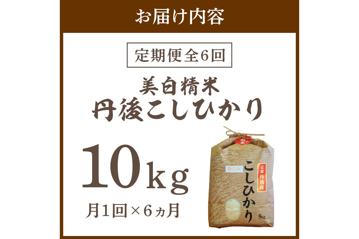 【定期便6回】令和7年産  美白精米 丹後こしひかり 10kg×6ヵ月 1等米　MU00066