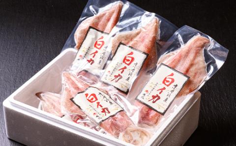 【先行予約】BBQに最適！ 白イカ（ケンサキイカ） 調理済み 正味2kg入り（8～16匹） ※小分け真空包装　UO01227