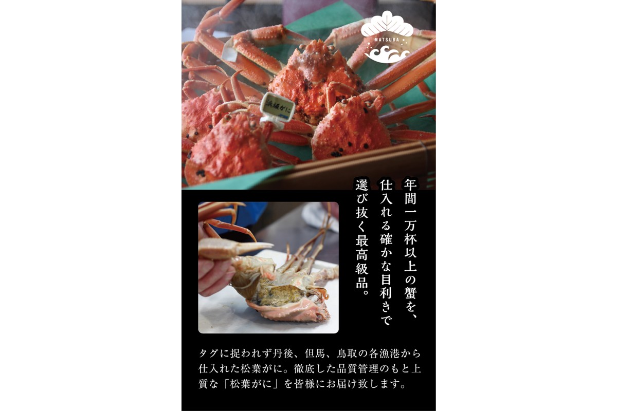 松葉ガニのかにすき２人前セット/自家製かにみそ付き （大サイズ /活けの状態で750～850ｇ 1杯） カニ鍋 蟹 蟹鍋 鍋 カニすき 蟹すき 松葉蟹 松葉ガニ かに雑炊 日本海 国産 のし お祝い ギフト お取り寄せ 加工品 簡単 お手軽 冷凍　OD00145