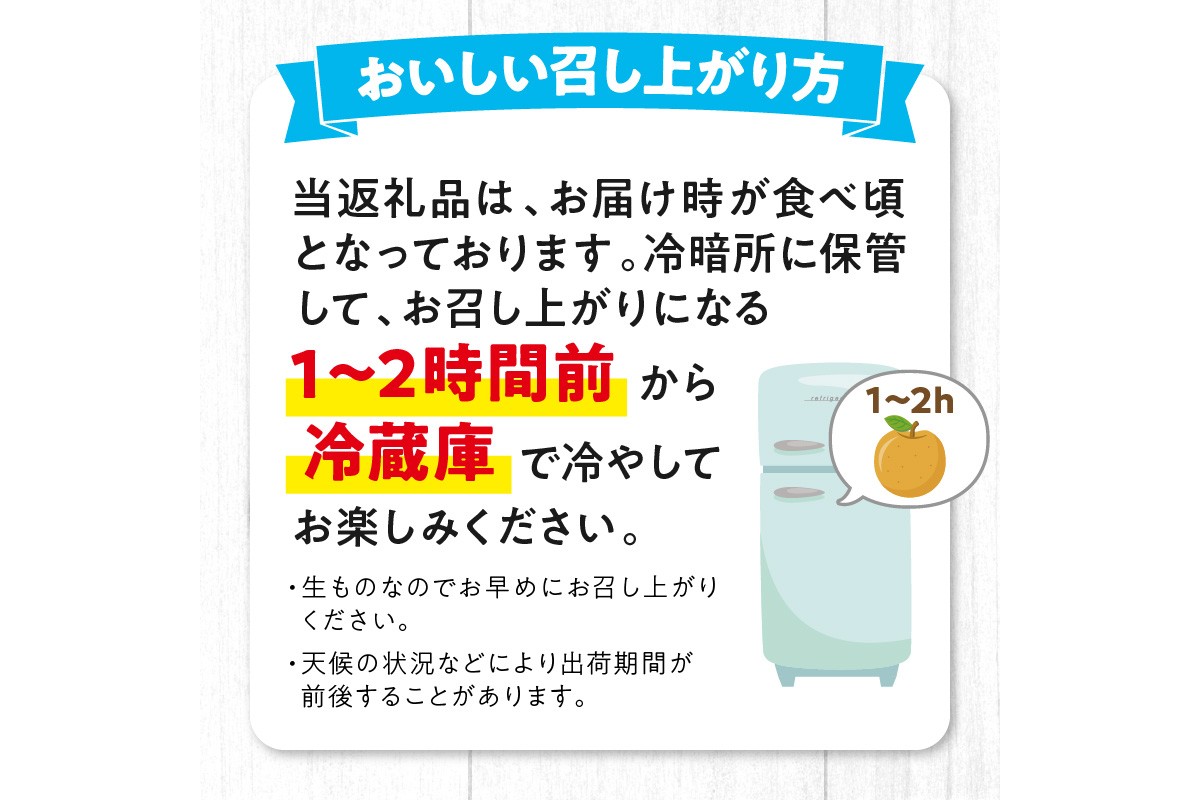 【先行予約／数量限定50】新興梨 秀品 5kg（8～16玉入り）（2026年10月上旬～発送）　SF00042