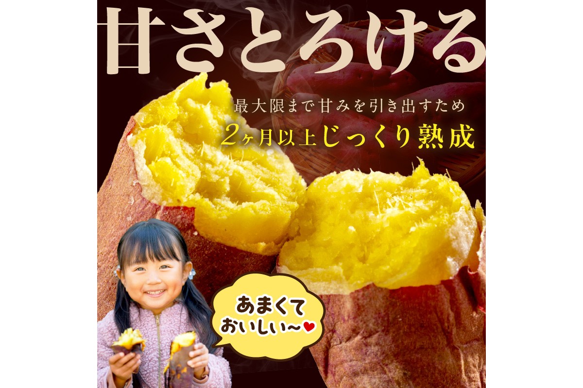 さつまいもオブザイヤー2部門で全国1位のさつまいも農家がつくるサツマイモ3種食べ比べセット（紅はるか・ふくむらさき・栗かぐや）計約5kg　TF00060