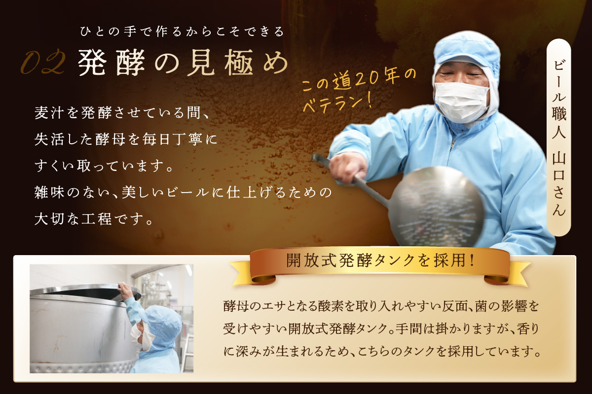 京都 丹後のクラフトビール 6缶セット TANGO KINGDOM Beer 6種 （350ml×6本）　TO00111