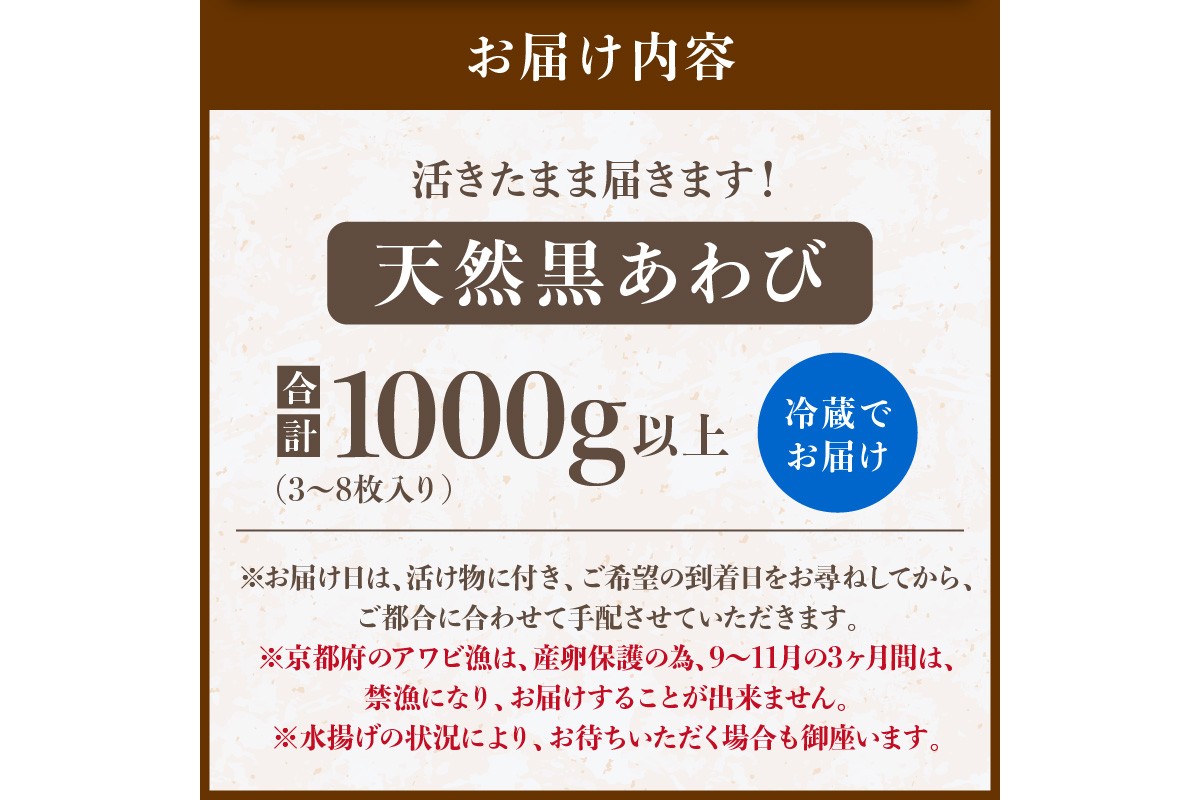 活きたまま届きます！ 天然黒アワビ 海水に酸素入りの特殊梱包 1000g入りおすすめセット　UO01022