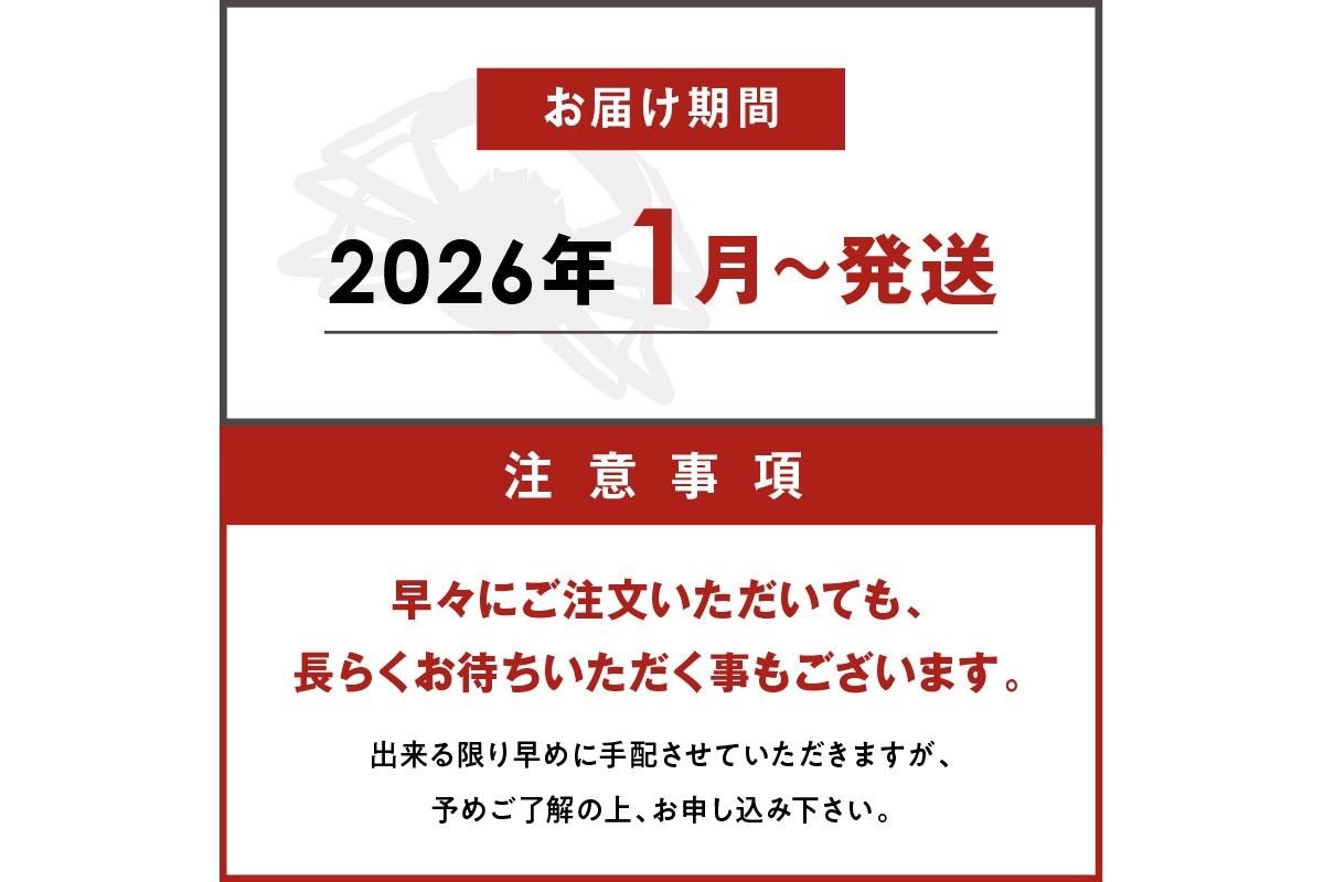 訳あり　【蟹の匠 魚政】茹で　プレミアムズワイガニ 魚政BLACK（松葉ガニ・越前ガニ） 大サイズ（1000～1100g） 2匹セット　 (2026年1月～発送)　UO01323