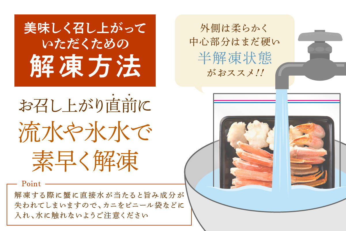 鮮度抜群！お刺身でも食べられる！カット生ズワイガニ 2肩分　YK00416