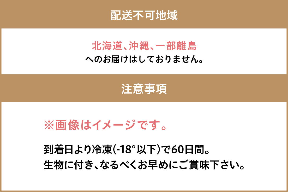 【先行予約】大満足！京丹後・海鮮BBQ　Bセット　貝づくし蒸しアワビ付　4種14品（3～4人前）（2026年4月中旬～発送）　YK00553