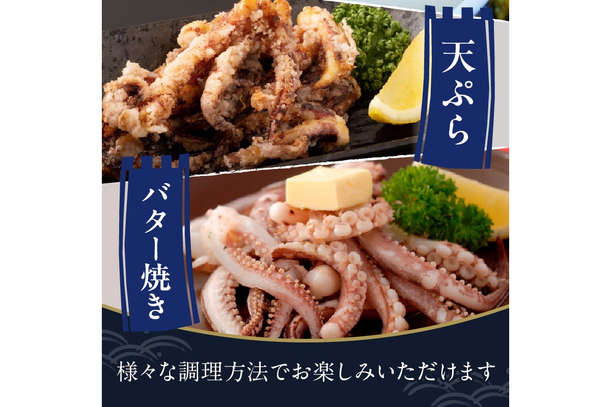 【先行予約】京丹後産『海の京都』の逸品！！　活白イカ姿造り（クリスタル白いか）中サイズ 1杯（200g前後）（2026年6月上旬～発送）　YK00534