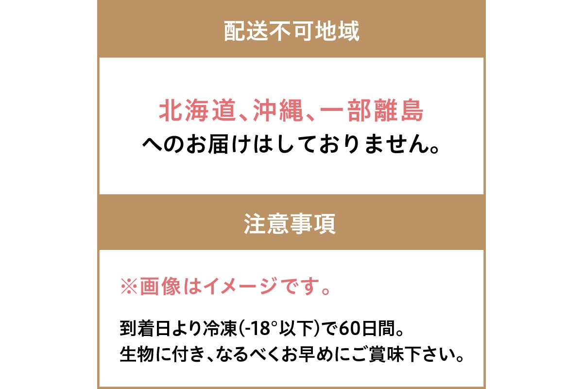 【先行予約】大満足！京丹後・海鮮BBQ　Fセット　豪華盛り合わせ　生ズワイガニ　アワビ付　7種23品（4～5人前）（2026年4月中旬～発送）　YK00557