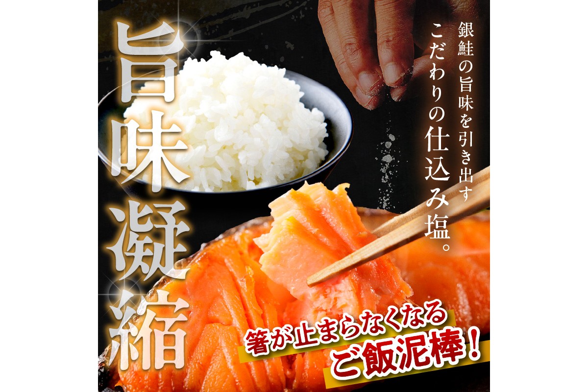 お手軽！絶品！厚切り　塩銀鮭切身 約1kg（プロトン凍結　訳あり　不揃い）　YK00236