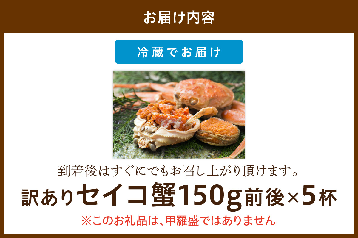 【期間エリア限定！訳あり】厳選！絶品！ 釜茹で セイコ蟹5杯　YK00429