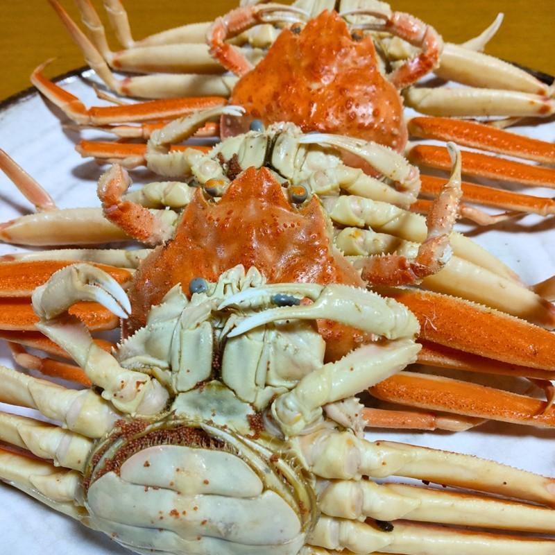 京丹後市より茹でたて プロトン凍結 【 訳あり 】 茹でこっぺがに 香箱ガニ 10匹　UM00010