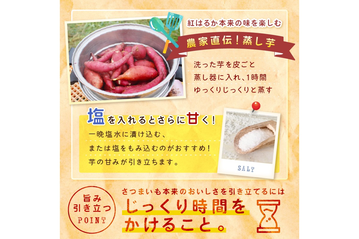 ＜てんとうむしばたけ＞有機さつまいも(紅はるか)5kg　有機野菜 さつま芋 サツマイモ 薩摩芋 ふるさと納税 野菜 イモ 期間限定 紅はるか 甘い 貯蔵 熟成 オーガニック ねっとり あまい焼き芋 国産 ほくほく 土付き 旬 秋 京都産　BR00074